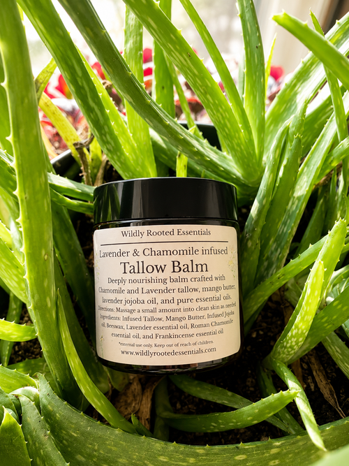 Chamomile and Lavender infused tallow Balm