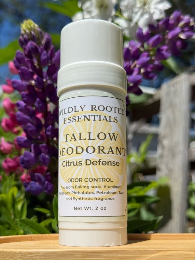 Tallow Deodorant